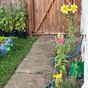 Show Notes Please Read!